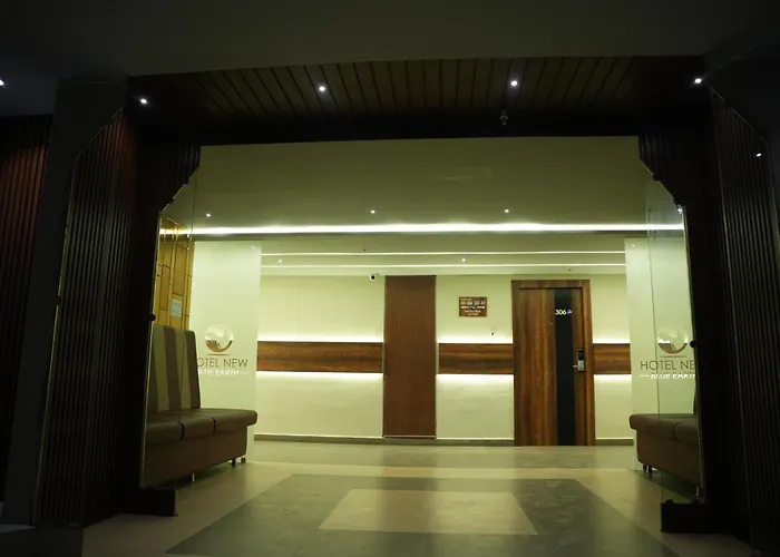 Hotel New Blue Earth Srikakulam