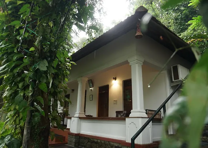 Vanilla County Vagamon