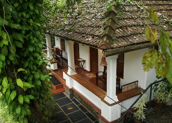 Vanilla County Vagamon