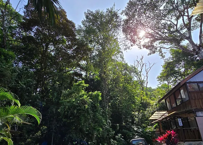 Cool Waters Jungle Villas Uvita