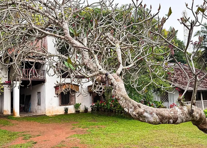 House Of Merchants Galle