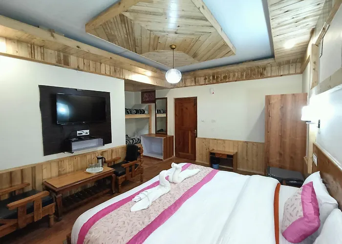 Cs Shhandella Hotel Manali 