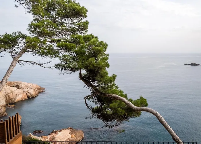 Bypillow Cap Sa Sal (Adults Only) Begur