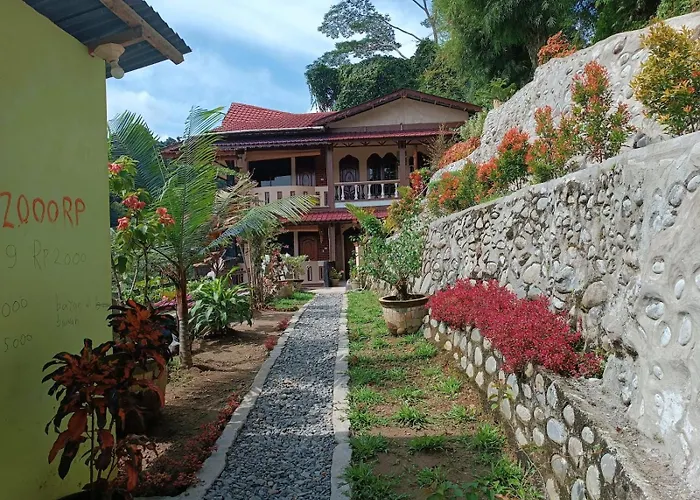 Fidodido Guesthouse Jungle Trekking Bukit Lawang