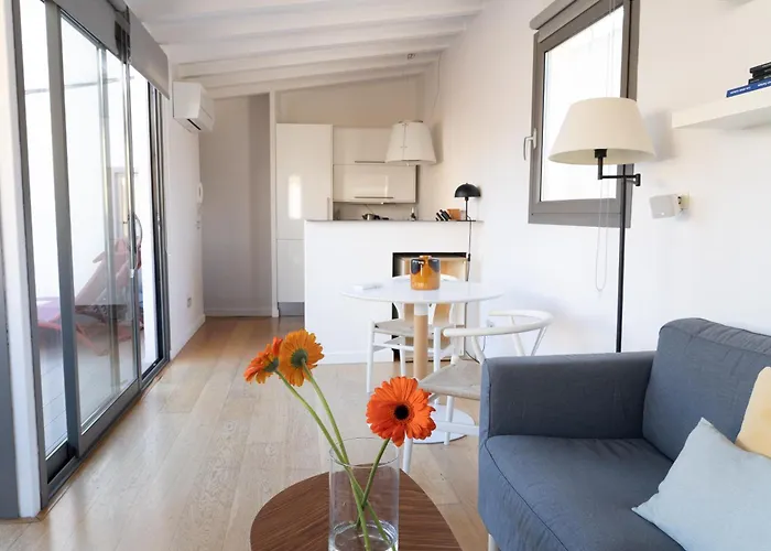 Canavall Palma de Mallorca