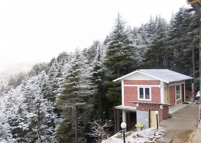 The Deodar Stays Kanatal