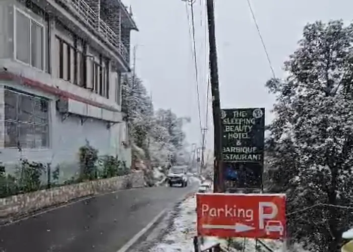Sleeping Beauty Hotel Moutain View Property Joshimath