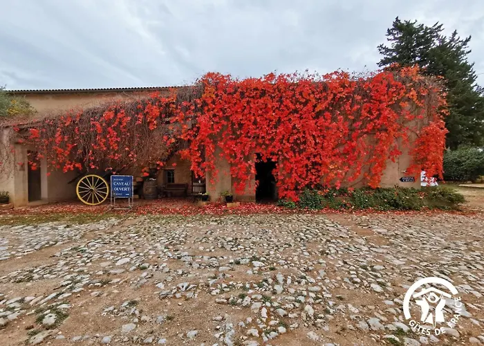 Domaine De Stony - Eco-Gites Et Vignoble Frontignan