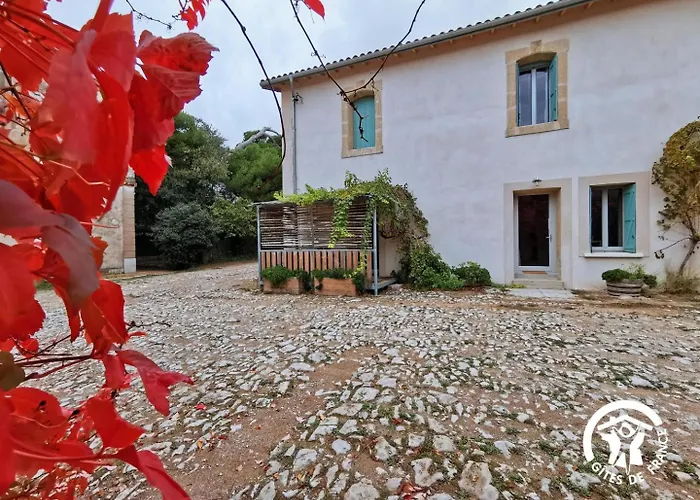 Domaine De Stony - Eco-Gites Et Vignoble Frontignan