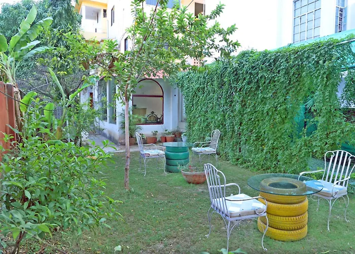 Hotel Tree Of Heaven Udaipur