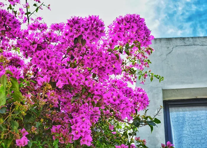 Posada Santa Rita Colonia del Sacramento