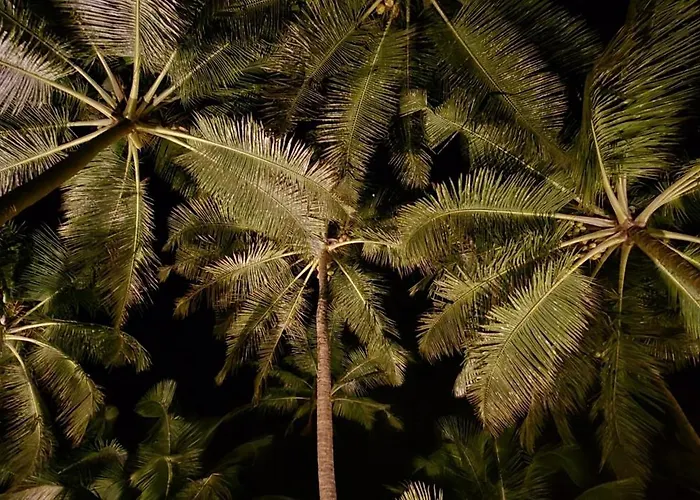 Kurma A Private Beach Kumta