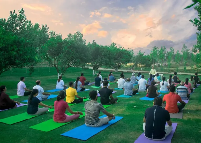 Solis Wellness Retreat Hoshiarpur