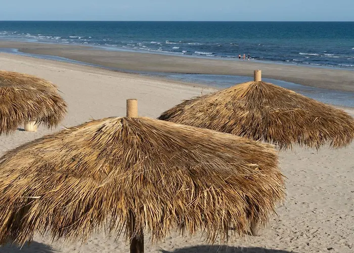 Encantame Towers Viento 203 Playa Encanto