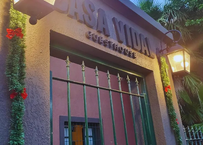 Casa Vidal Guesthouse Tupungato