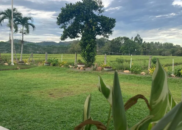 The Eliana Farm Resort And Villas Manolo Fortich