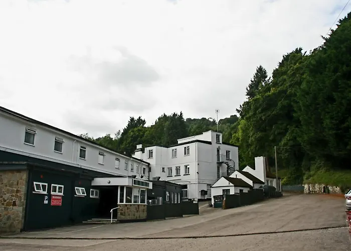 The Paddocks Hotel Symonds Yat