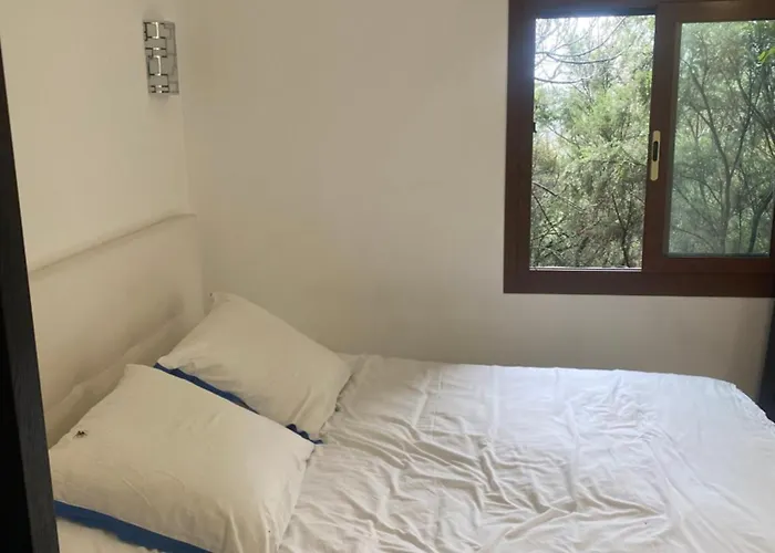 Chambres D'Hotes Centre Corse Venaco 