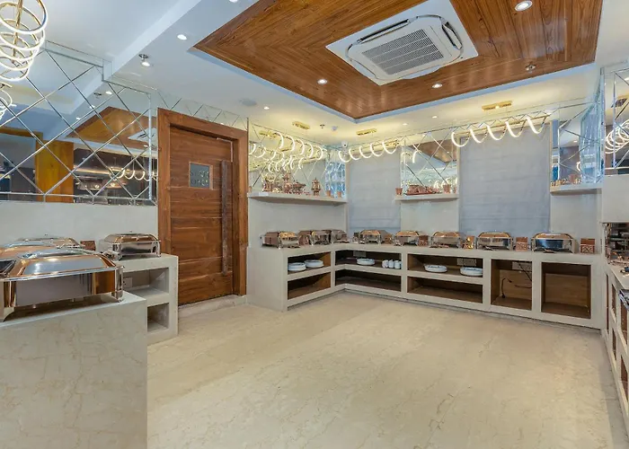 Hotel Meerz Srinagar 