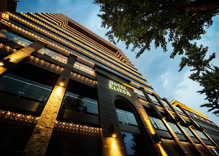 Eliena Hotel Seoul Gangnam