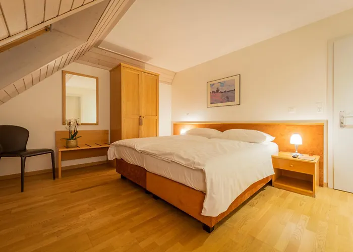 Hotel Du Cheval Blanc - City Center Bulle