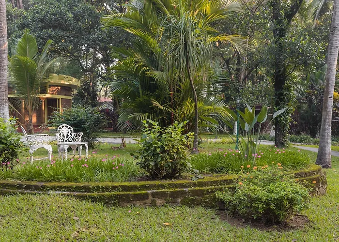 Kairali - The Ayurvedic Healing Village Palakkad