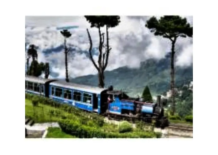 Jambling Sherpa Homestay , Darjeeling Darjeeling 