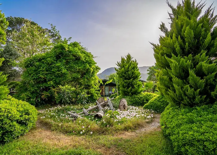 Etenna Beach Bungalows Çıralı