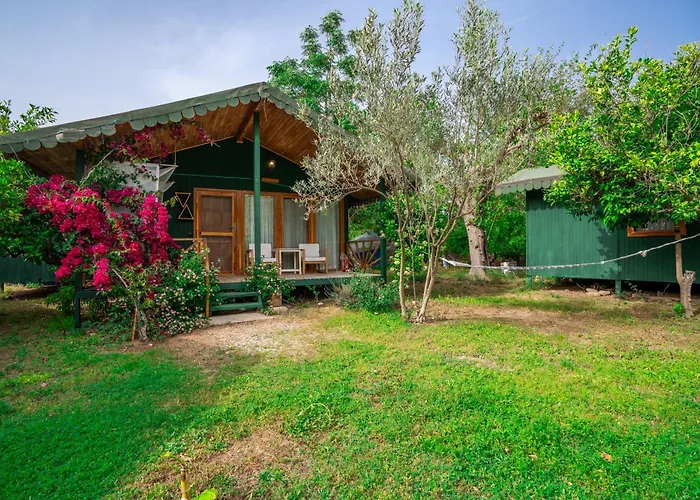 Etenna Beach Bungalows Çıralı