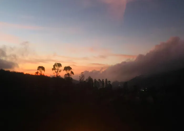 Venus Inn Nuwara Eliya