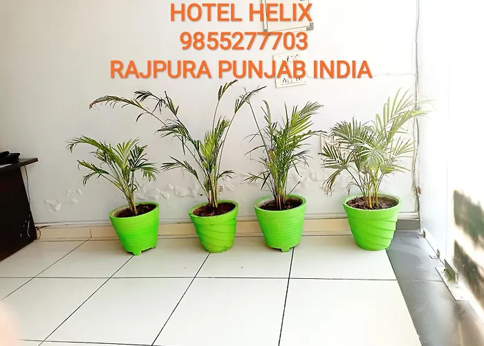Hotel Helix -- Rajpura -- Budget Rooms For Family, Couples, Solo Travellers