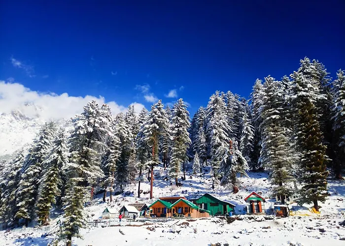 Singing Woods Kutla Hotel Kullu