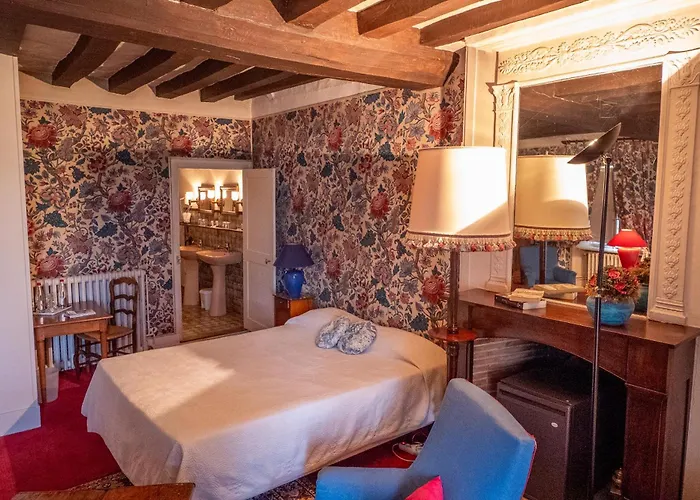Hotellerie De Charme Le Relais Cicero Hotel-Jardin-Calme-Verdure- Un Relais Du XVII En Centre Au Detour Du Zoo La Flèche
