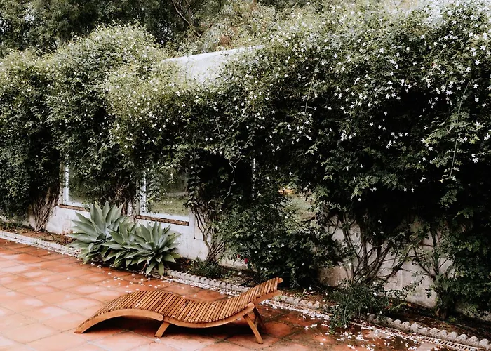 Finca Laida Vejer de la Frontera