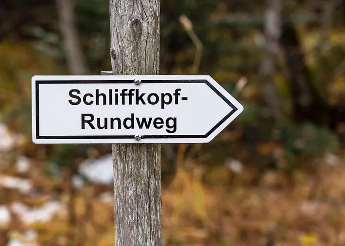 Wellness-& Nationalpark Hotel Schliffkopf, Bwsc Baiersbronn