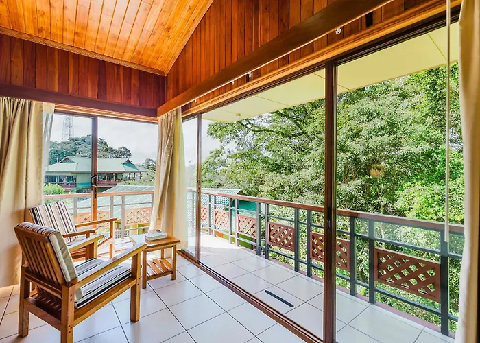 Ficus Sunset Suites Monteverde
