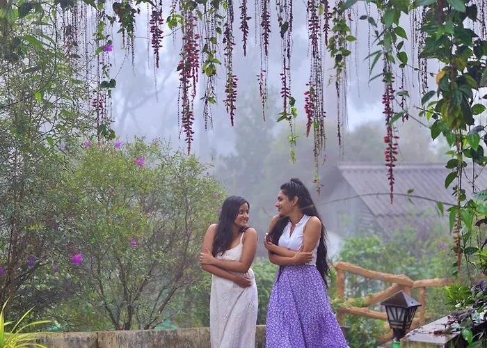 Dew Drops Farm Resorts Munnar