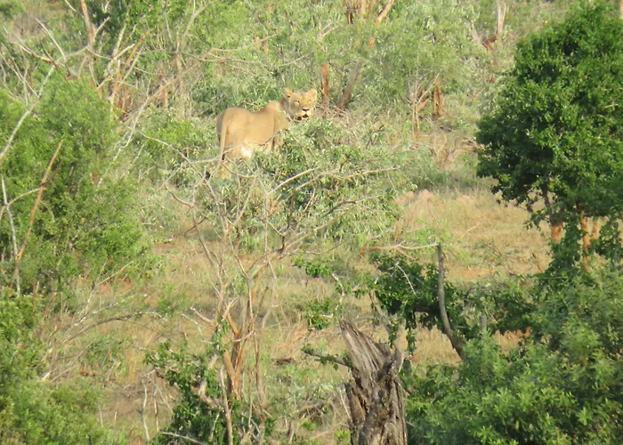Riverview Inn Malalane