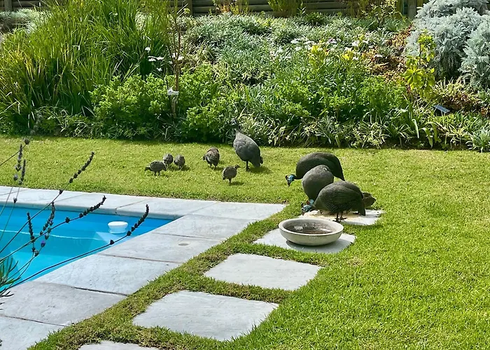 The Lily Suite Plettenberg Bay