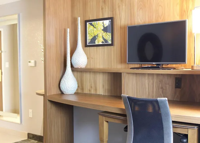 Courtyard By Marriott Asheville Airport Fletcher