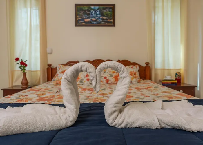 Coco View Bed & Breakfast Port Blair