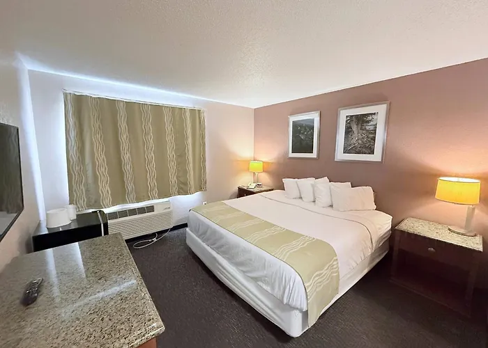 Bison Inn & Suites On University Fargo