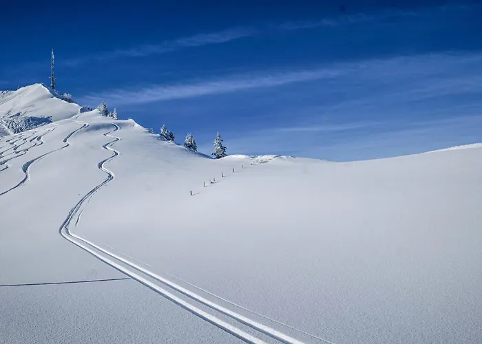 Berghotel Hahnenmoos Adelboden