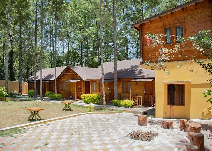 Garden Wood Yercaud Apartment