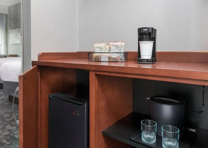 Courtyard By Marriott Buffalo Airport Cheektowaga