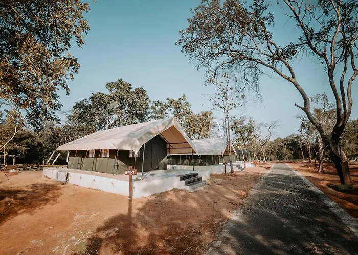 Palash The Jungle Resort Gondia