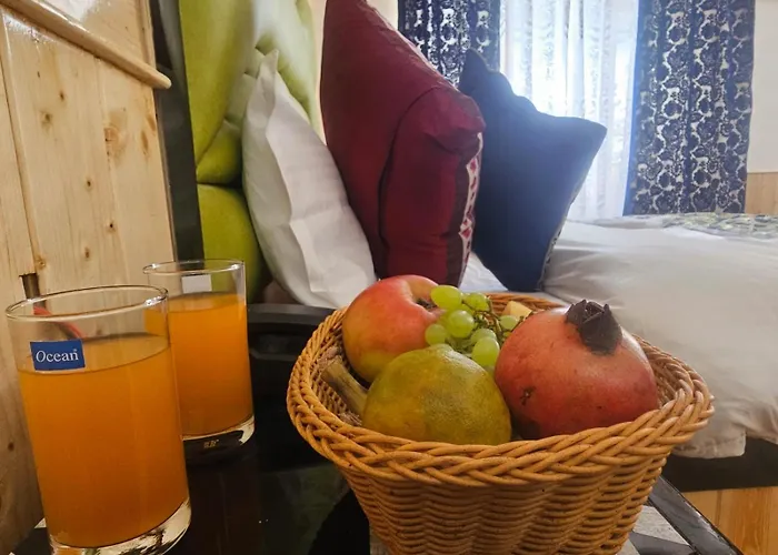 Delta View Hotel Pahalgam