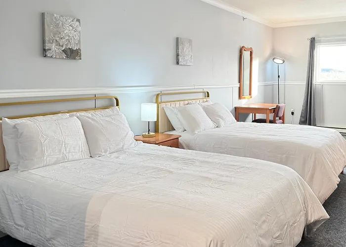Elite Hotel -Downtown Center- "Ski & Northern Light Tour" "Hot Spring Tour "Long-Term Stay" Whitehorse