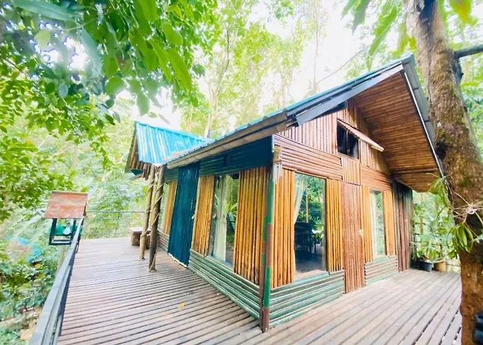 Khao Sok Tree House Resort Khao Sok National Park