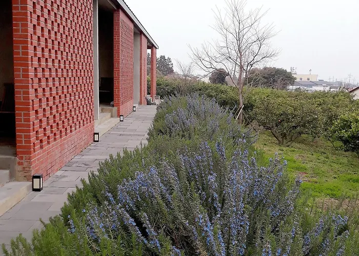 Jejutokki Bed & Breakfast Seogwipo